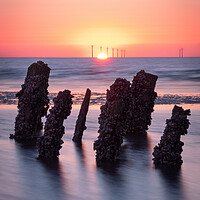 Buy canvas prints of Sunset Pillars by Liam Neon