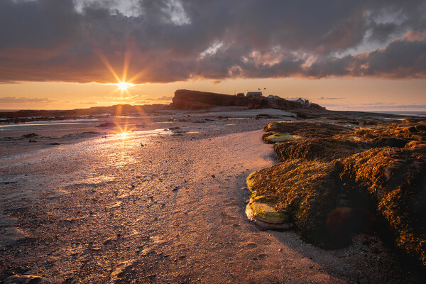 Splash of Light on Hilbre Island, Wirral Picture Board by Liam Neon
