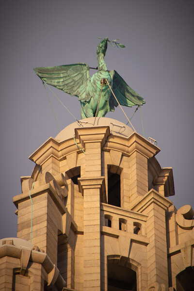 Golden hour Liver bird, Liverpool Waterfront Picture Board by Liam Neon