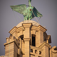 Buy canvas prints of Golden hour Liver bird, Liverpool Waterfront by Liam Neon