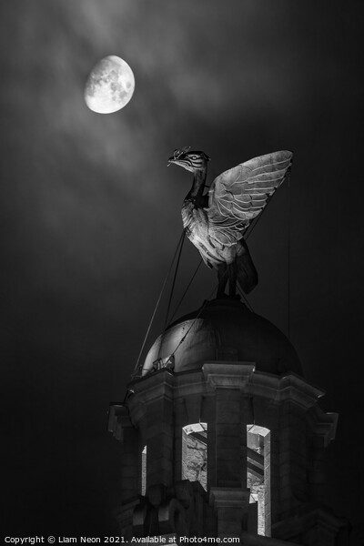 Monochrome Lunar Liverbird, Liverpool Waterfront Picture Board by Liam Neon