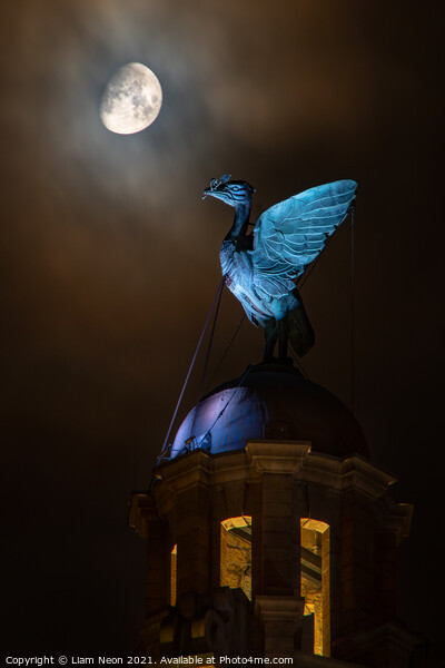Lunar Liverbird, Liverpool Waterfront Picture Board by Liam Neon