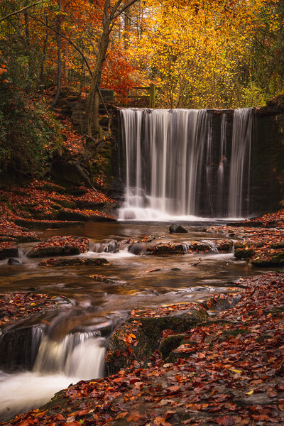 Nant Mill Waterfall Picture Board by Liam Neon