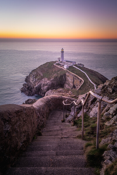 Stairway To Southstack Lighthouse Picture Board by Liam Neon