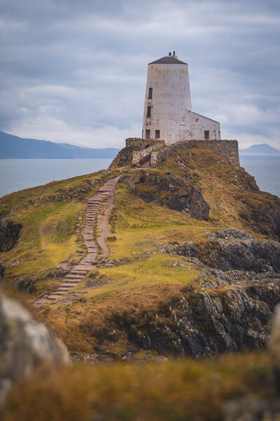 Tŵr Mawr Lighthouse in Winter Picture Board by Liam Neon