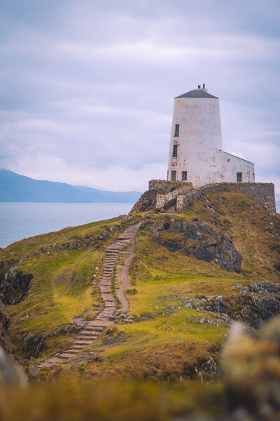 Tŵr Mawr Lighthouse on Ynys Llanddwyn Picture Board by Liam Neon
