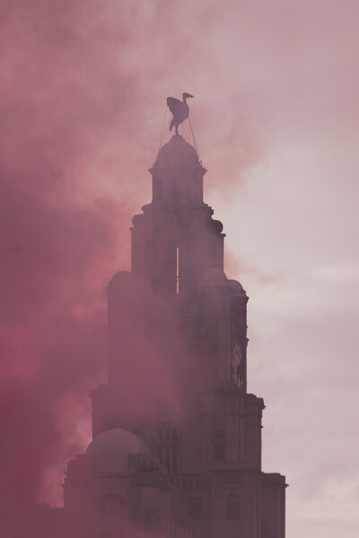 Liverpool Victory Parade 2022 Picture Board by Liam Neon