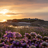 Buy canvas prints of Hilbre Golden Thrift Sunset by Liam Neon