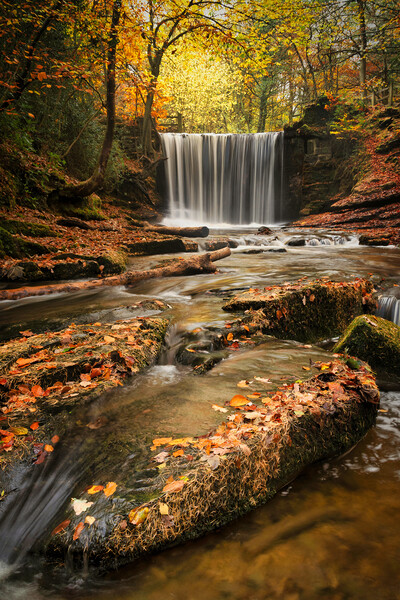 Autumnal water flows through Nant Mill Picture Board by Liam Neon
