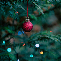 Buy canvas prints of Caldy Christmas Tree Bauble by Liam Neon