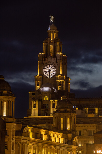 Liverpool Liver Birds at night. Picture Board by Liam Neon