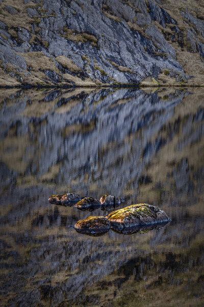 Ogwen Hippos on the Glyderau, Snowdonia Picture Board by Liam Neon