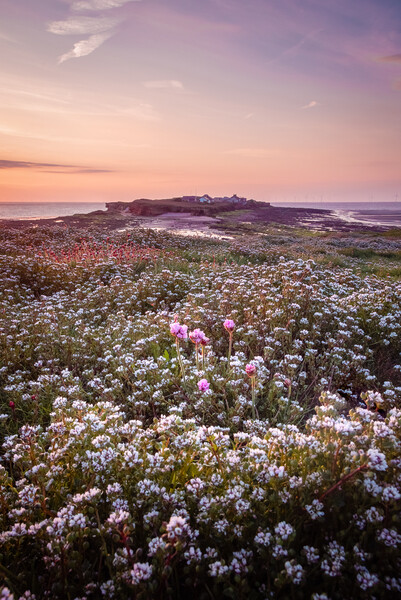 Hilbre Floral Twilight Picture Board by Liam Neon