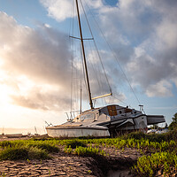 Buy canvas prints of Catamaran High and Dry at Lower Heswall Shore  by Liam Neon
