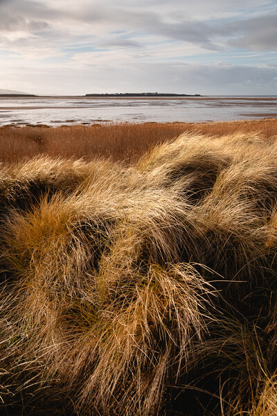 Hilbre Through the Dunes Picture Board by Liam Neon
