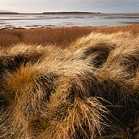 Buy canvas prints of Hilbre Through the Dunes by Liam Neon