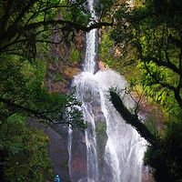 Buy canvas prints of Waterfall in Dusky Sound, New Zealand by Liam Neon