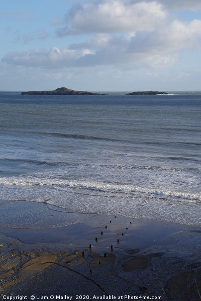 Aberdaron Posts run out to sea Picture Board by Liam Neon