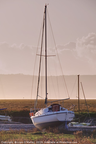 Boat moored at Parkgate Wirral at dusk Picture Board by Liam Neon