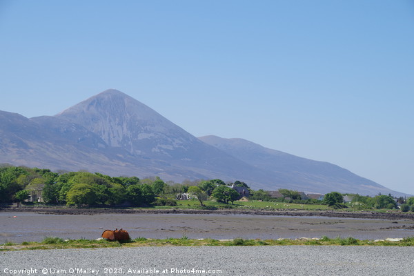 Croagh Patrick from Westport Quay Picture Board by Liam Neon