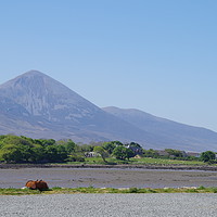 Buy canvas prints of Croagh Patrick from Westport Quay by Liam Neon