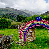 Buy canvas prints of Rainbow Logs for the NHS at Beddgellert by Liam Neon