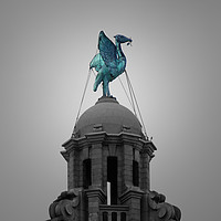 Buy canvas prints of Liverpool Skyline Piercing Blue Liverbird by Liam Neon