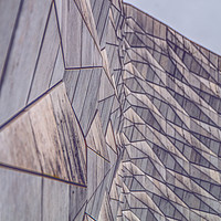 Buy canvas prints of Museum of Liverpool Diamond Scales by Liam Neon