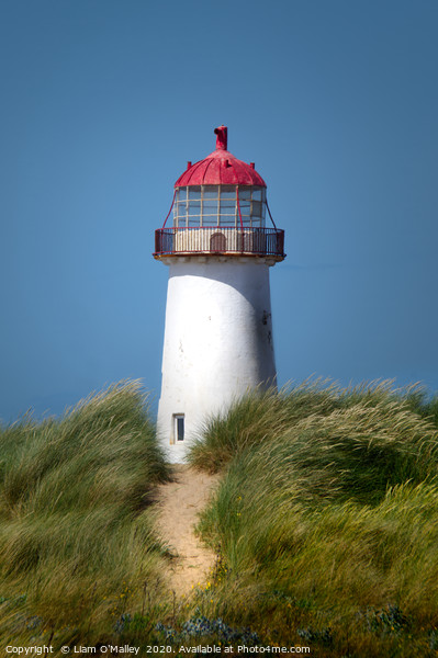Talacre Lighthouse at the Point of Ayr Picture Board by Liam Neon
