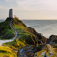 Buy canvas prints of Twr Mawr Goldenhour Lighthouse on Anglesey by Liam Neon