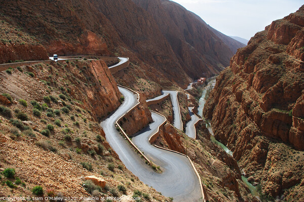 Dades Gorge Ribbon Road Picture Board by Liam Neon