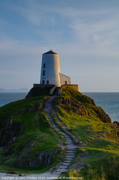 Tŵr Mawr Lighthouse, Anglesey Picture Board by Liam Neon