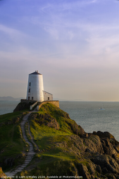 Sailing out to Sea from the Twr Mawr Lighthouse An Picture Board by Liam Neon