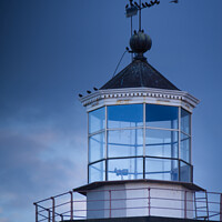 Buy canvas prints of Perched on Hoylake Lighthouse by Liam Neon