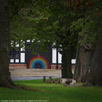 Buy canvas prints of Smithy Rainbow through the Trees by Liam Neon