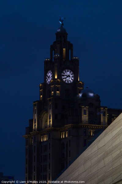 Liverbird Watches Over the Liverpool Waterfront Picture Board by Liam Neon