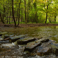 Buy canvas prints of Nant Mill Stepping Stones by Liam Neon