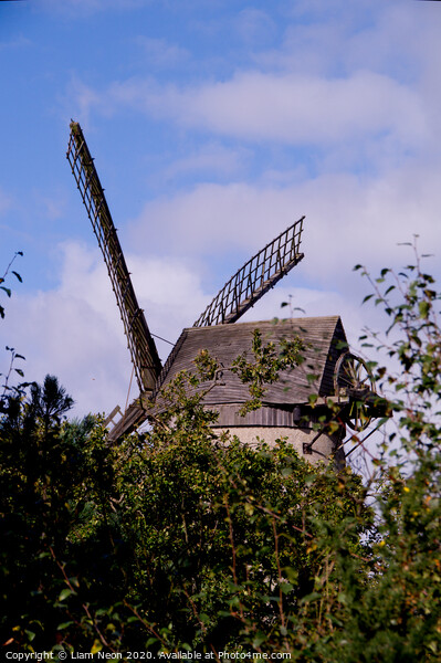 Bidston Windmill Through the Leaves Picture Board by Liam Neon