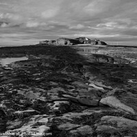 Buy canvas prints of Hilbre on the Rocks by Liam Neon