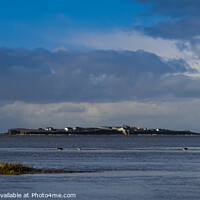 Buy canvas prints of For The Birds, Hilbre Island by Liam Neon