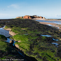 Buy canvas prints of Hilbre Island Rockpools, Wirral by Liam Neon