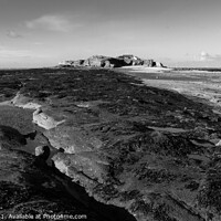 Buy canvas prints of Hilbre on the Rocks Monochrome by Liam Neon