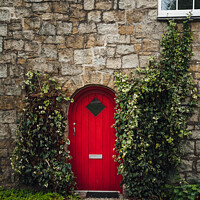 Buy canvas prints of The Red Door by Liam Neon