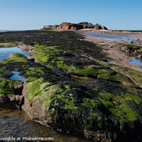 Buy canvas prints of Hilbre Island Rock Pools by Liam Neon