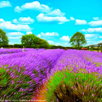 Buy canvas prints of Fields of Lavender by DAVID FLORY