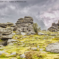Buy canvas prints of Storm brewing over Hound Tor by DAVID FLORY