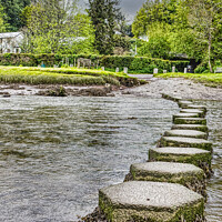 Buy canvas prints of Stepping Stones by DAVID FLORY