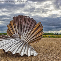 Buy canvas prints of The Scallop by DAVID FLORY