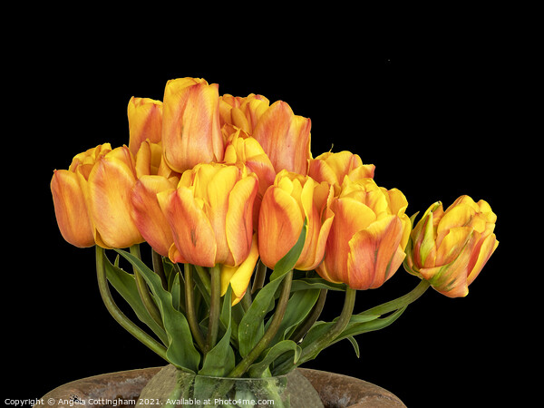 Tulip Arrangement Picture Board by Angela Cottingham