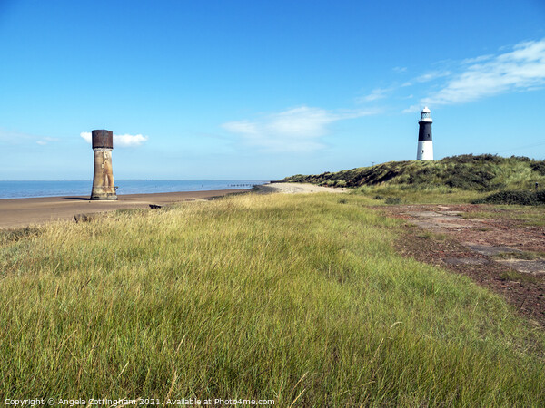 Old and New Lighthouses at Spurn Point Picture Board by Angela Cottingham